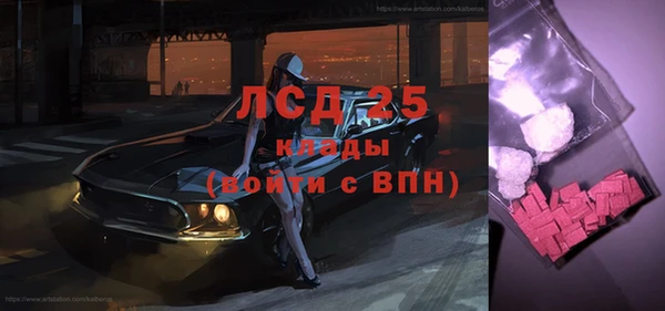 СК Кукмор