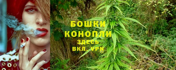 эйфоретик Ладушкин