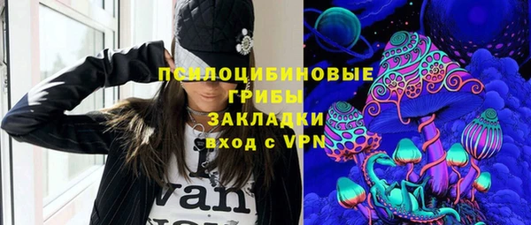 СК Кукмор