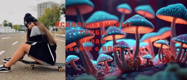 СК Кукмор