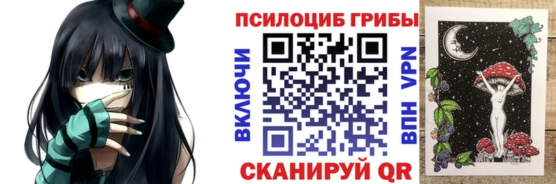 как найти закладки  Ладушкин  Псилоцибиновые грибы Psilocybine cubensis 