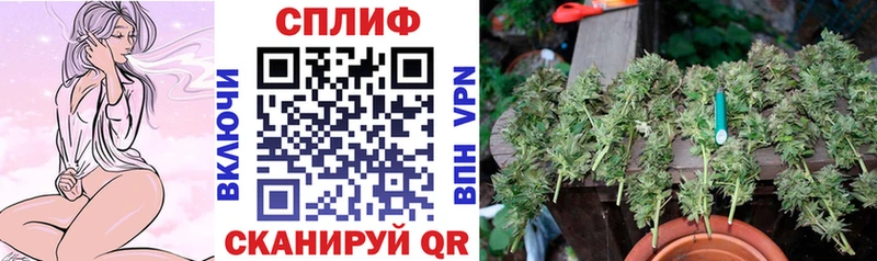 Бошки Шишки VHQ Ладушкин